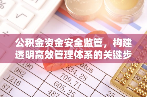 五大连池公积金资金安全监管，构建透明高效管理体系的关键步骤