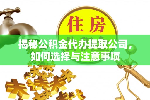 五大连池揭秘公积金代办提取公司，如何选择与注意事项