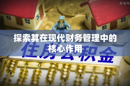 五大连池探索其在现代财务管理中的核心作用